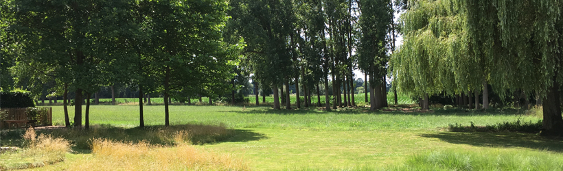 Parkeren bij Medical Art Clinic